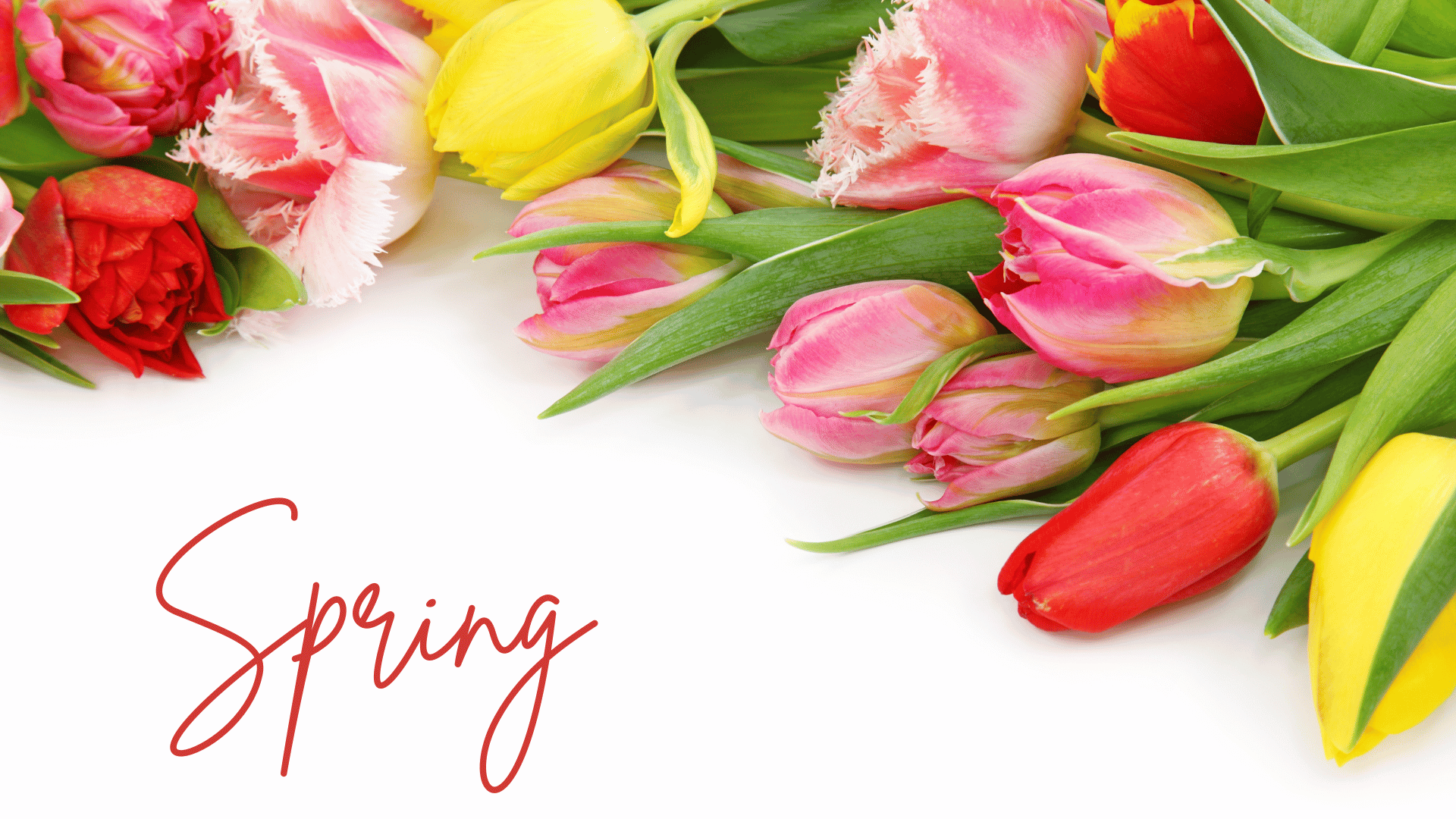 Engaging Pookiey features built for real connections